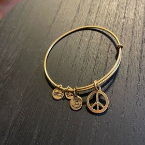 Alex and Ani Gold Charm Bracelet
